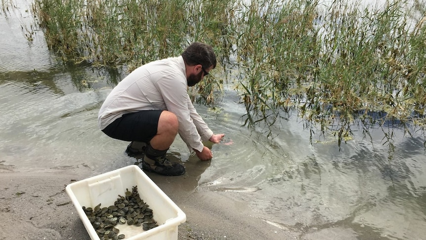 Working in the shallows