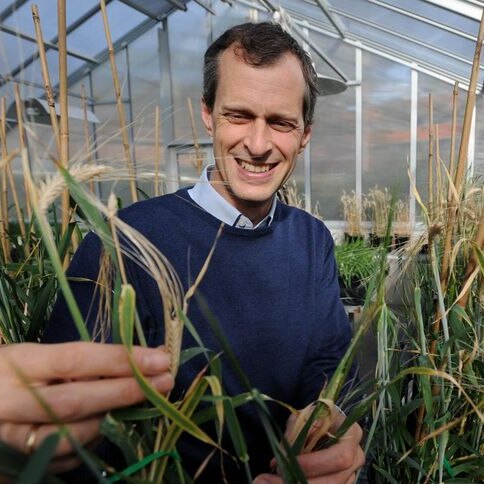 Professor Mark Tester said innovation was boosting food quality and choice
