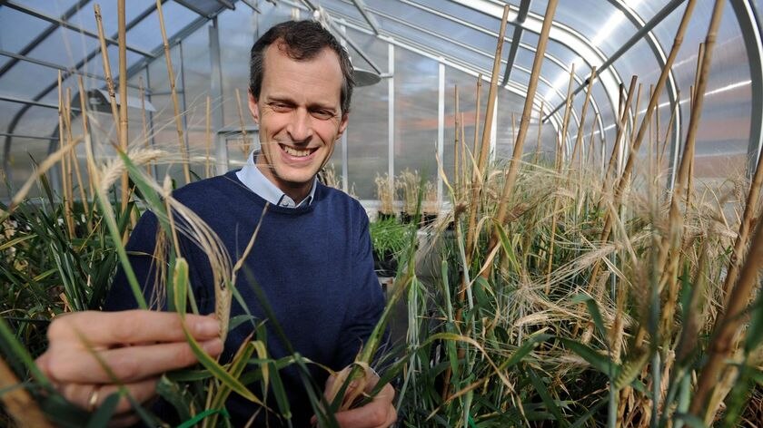 Professor Mark Tester said innovation was boosting food quality and choice