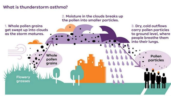 Thunderstorm asthma season is on now. Are we ready for another event if ...