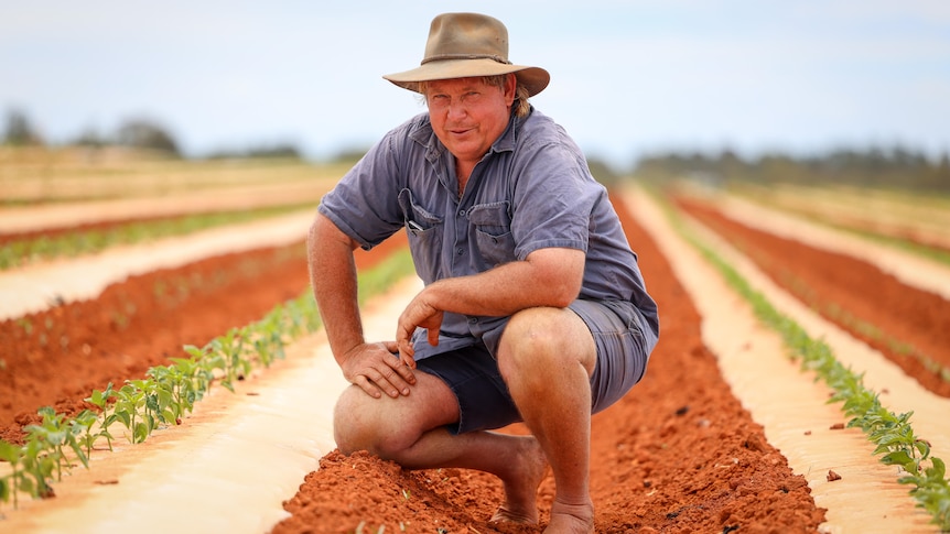 A man crouches in his field wearing a hat.