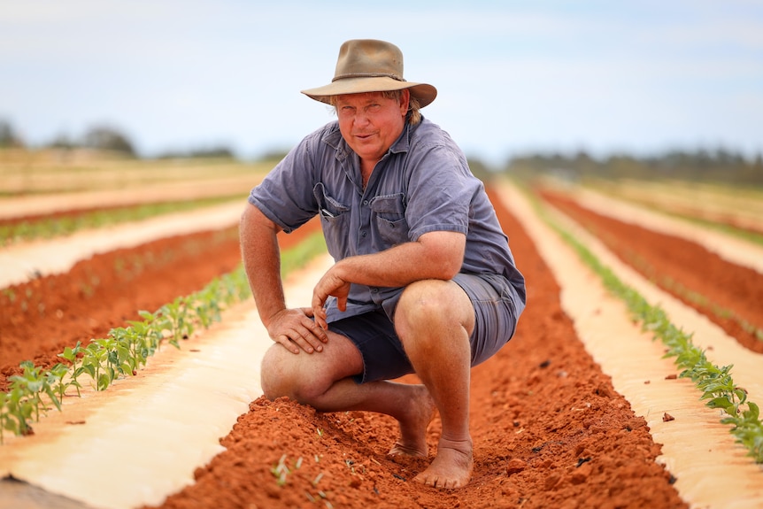 A barefoot man crouches in his field.