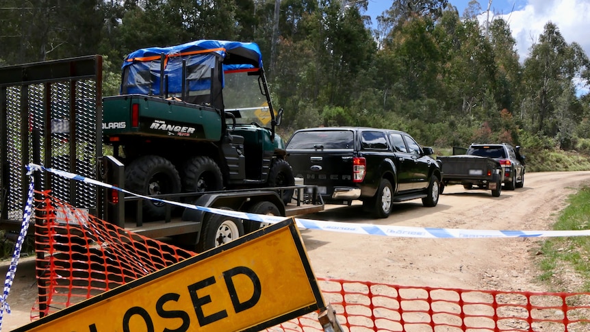 A row of four-wheel drives with trailers move along a gravel track bordered by dense bushland.