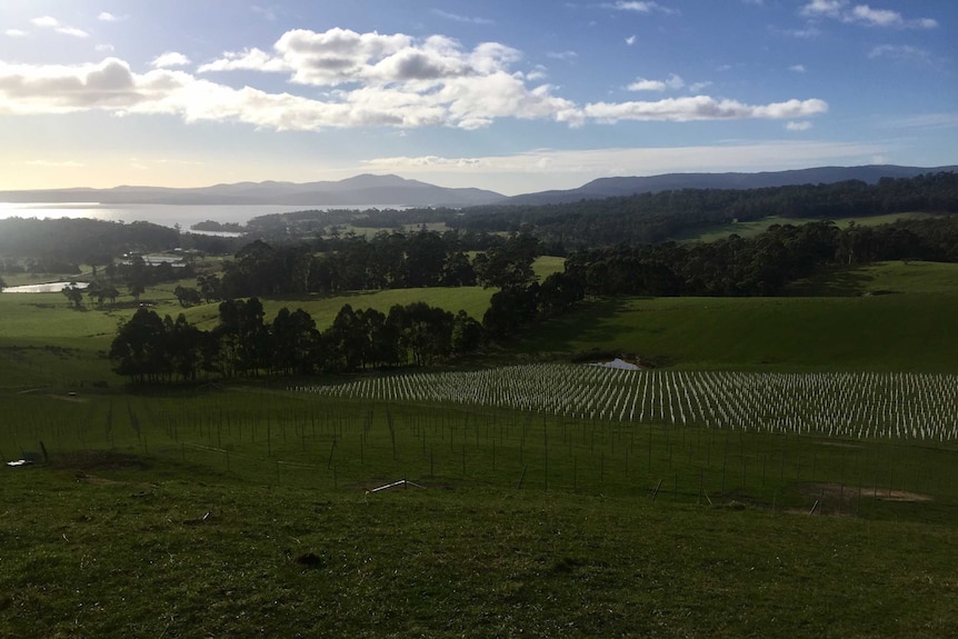 View of lush farmland and sparkling ocean