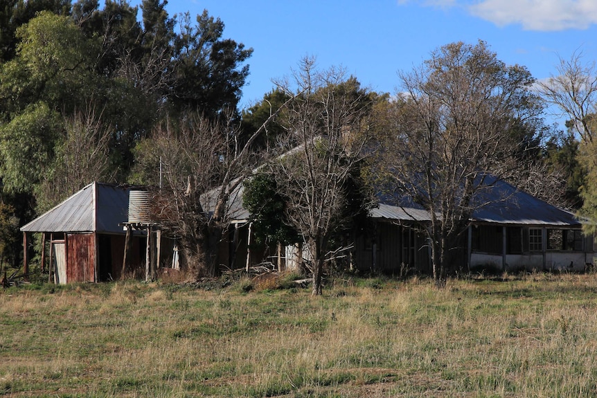 Cheeseman's Creek Post Office ruins