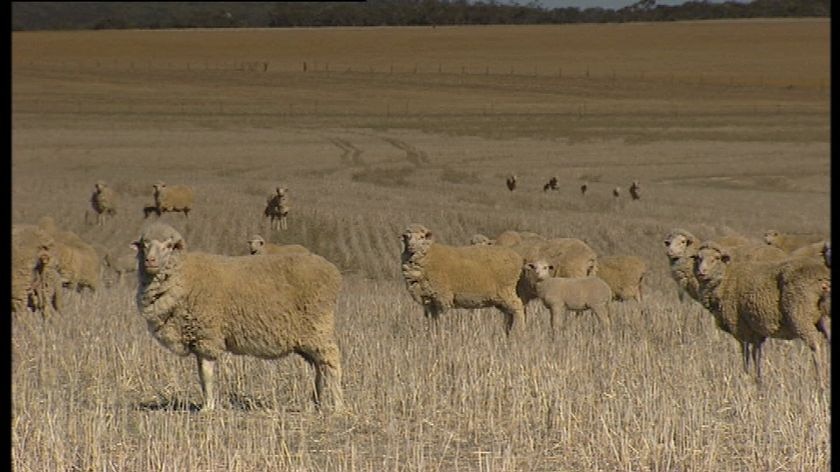 There are calls for drought assistance to be extended to unincorporated areas of north-western NSW.