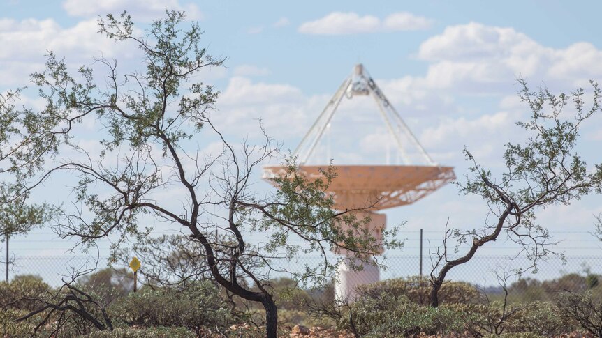 A satellite dish on the horizon near trees