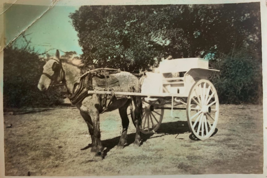 A sepia photo of a horse and a cart.