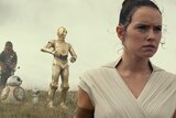 Chewbacca, two small droids, C-3PO and Daisy Ridley stand in dry grassland with serious expressions looking into distance.