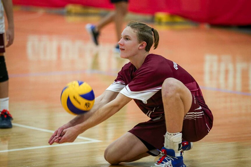 Boy with half ponytail, wears maroon sports jersey, shots, digs the ball in a game of indoor volleyball.