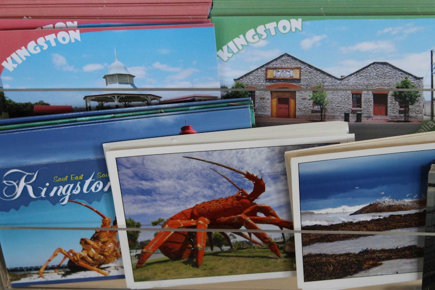 Postcards of Kingston stacked on a shelf. One featuring Larry is in the middle.