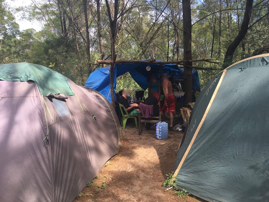 Temporary accommodation tents set up in bushland near the western Sydney suburb of Windsor.