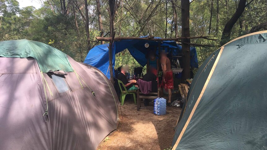 Temporary accommodation tents set up in bushland near the western Sydney suburb of Windsor.