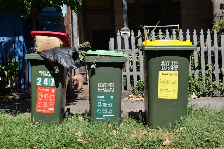 A row of bins outside a house.