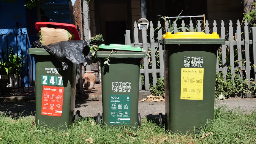 A row of bins outside a house.
