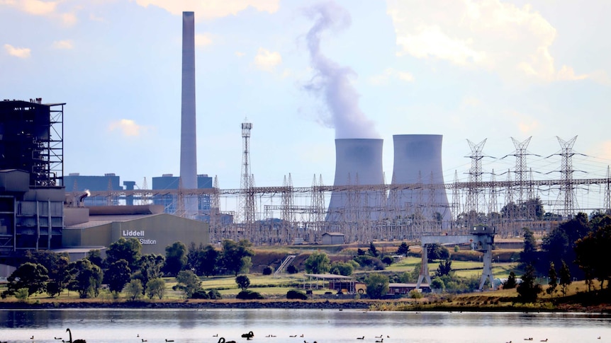 A view of the Liddell coal-fired power plant from across a lake, with swans in the foreground