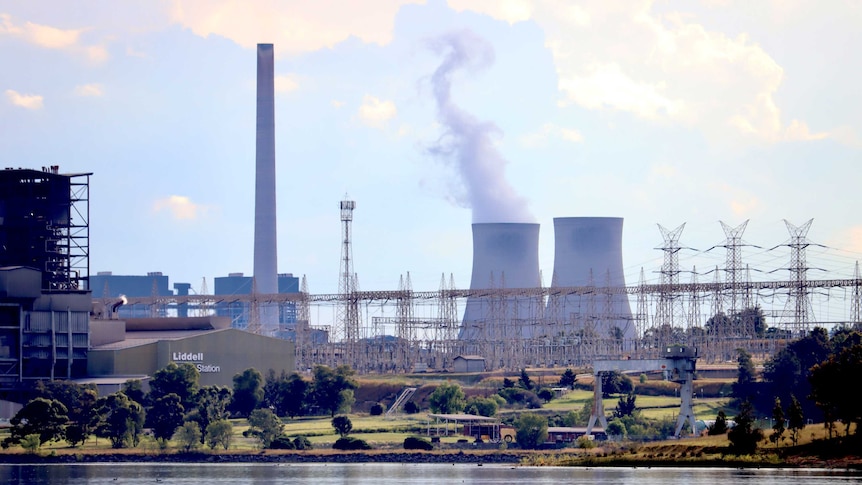 A view of the Liddell coal-fired power plant from across a lake, with swans in the foreground