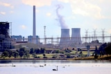 A view of the Liddell coal-fired power plant from across a lake, with swans in the foreground