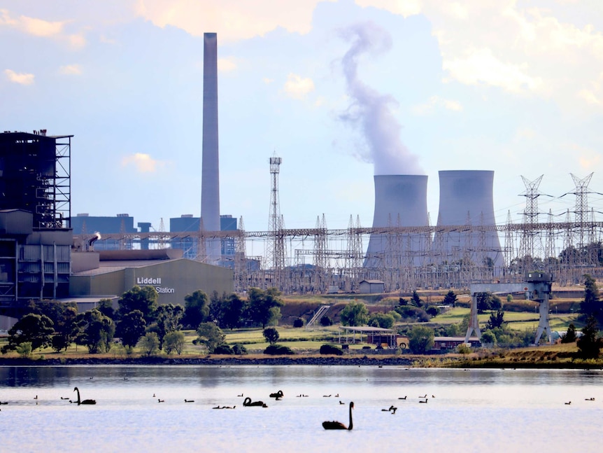 A view of the Liddell coal-fired power plant from across a lake, with swans in the foreground