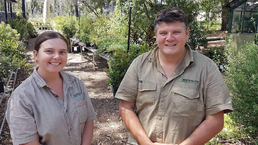 Two Australian Wildlife workers in the sanctuary surrounded by plants.