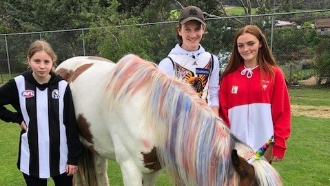 three students and a horse with a coloured mane, in a paddock