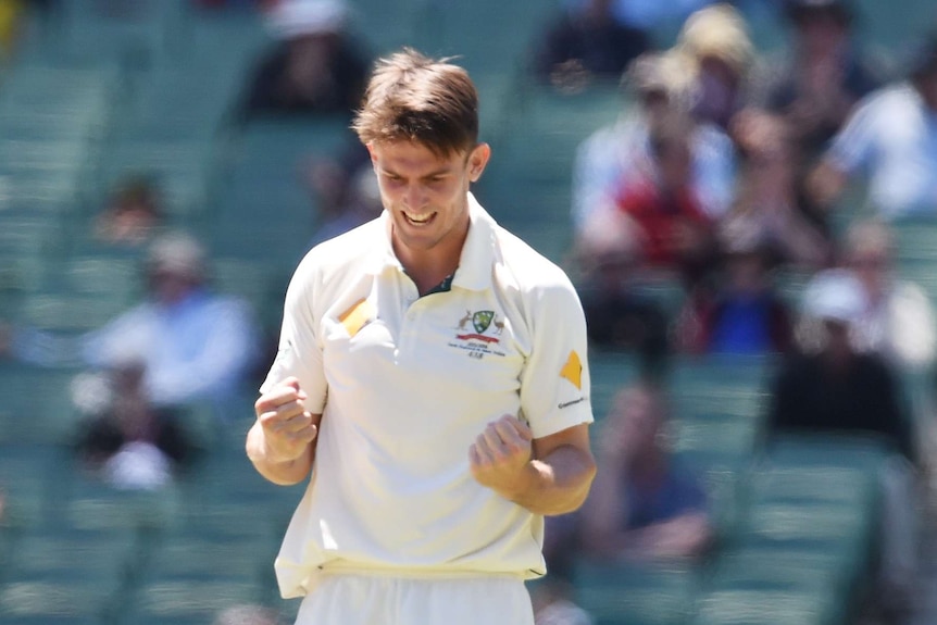 Mitch Marsh celebrates a wicket