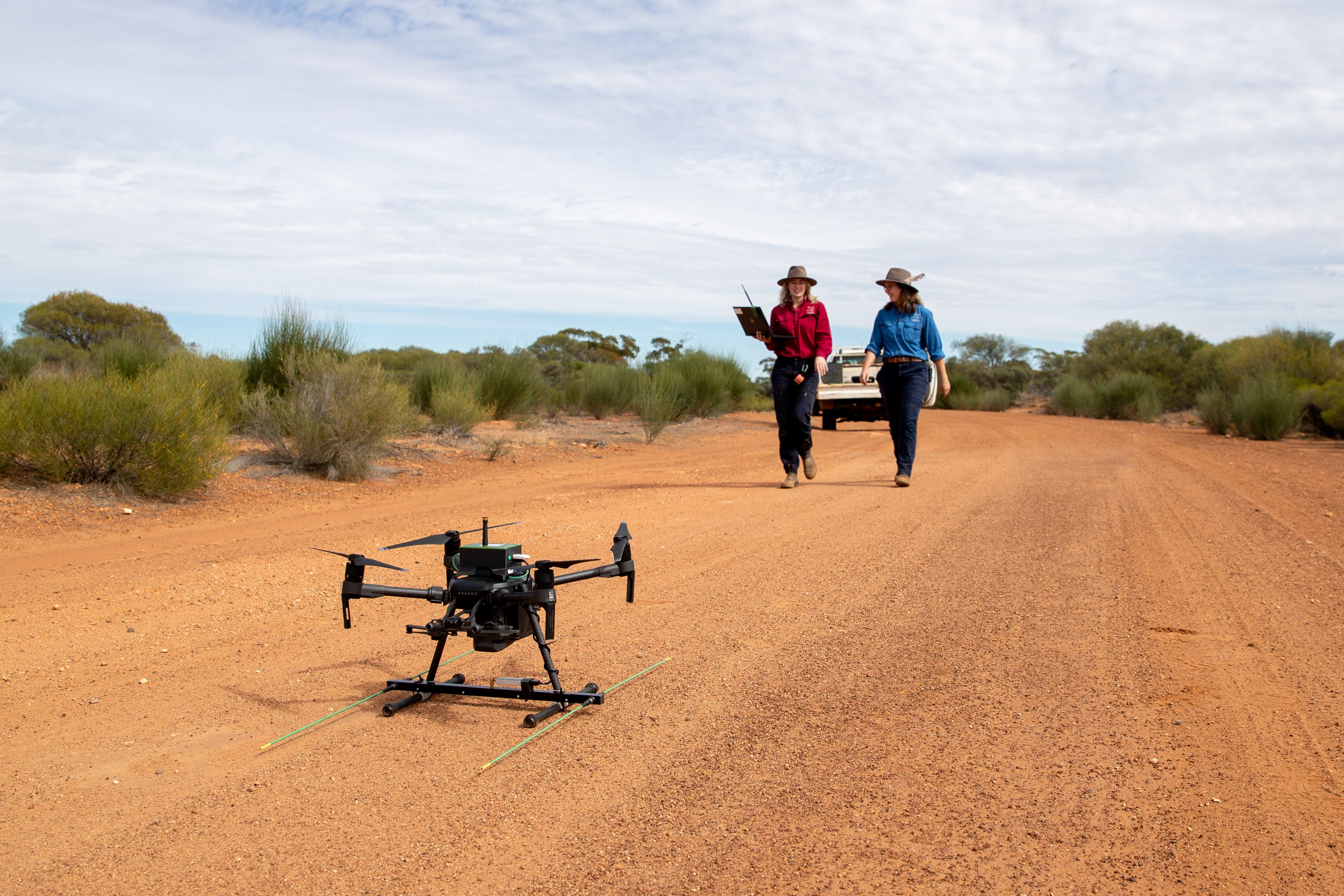 Drone at Mt Gibson to monitor quolls