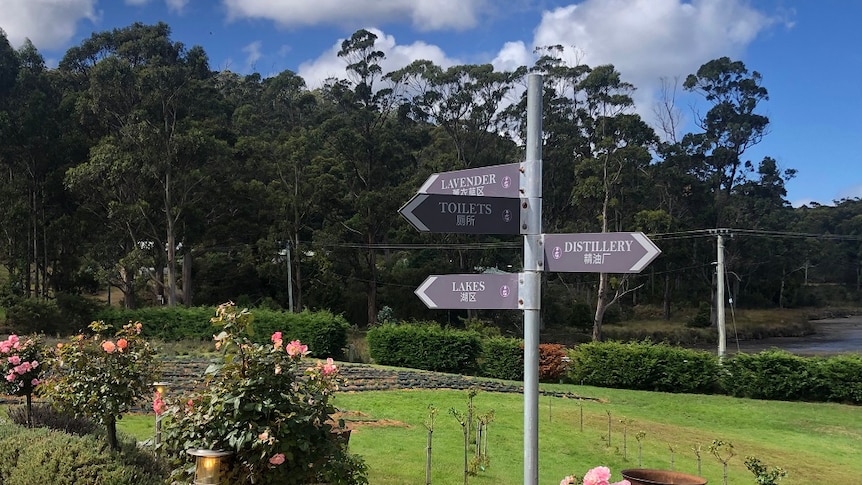 Signs pointing to various parts of the Port Arthur Lavender Farm including the gardens and the distillery