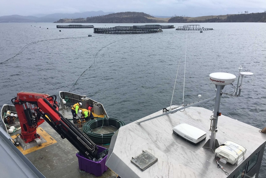 Tassal setting up salmon lease in Okehampton Bay
