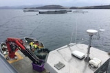 Tassal setting up salmon lease in Okehampton Bay