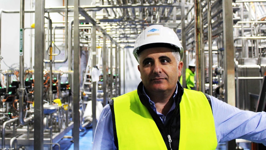 A man wearing fluoro vest and hard hat among silver pipes in the milk plant