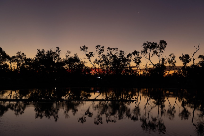 The sun sets behind trees at Lara Wetlands