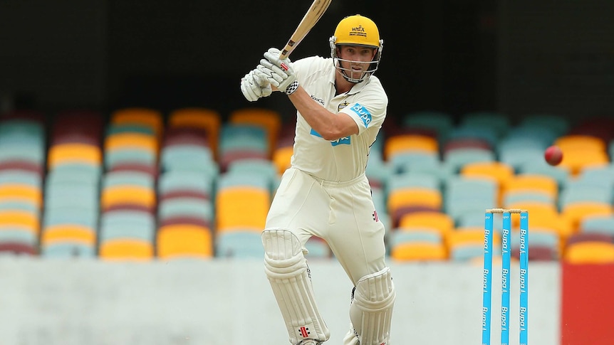 The Warriors' Shaun Marsh bats on day two of the Shield match against Queensland at the Gabba.