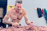 A man stands bare chested learning over a pile of purple seaweed sorting it. 