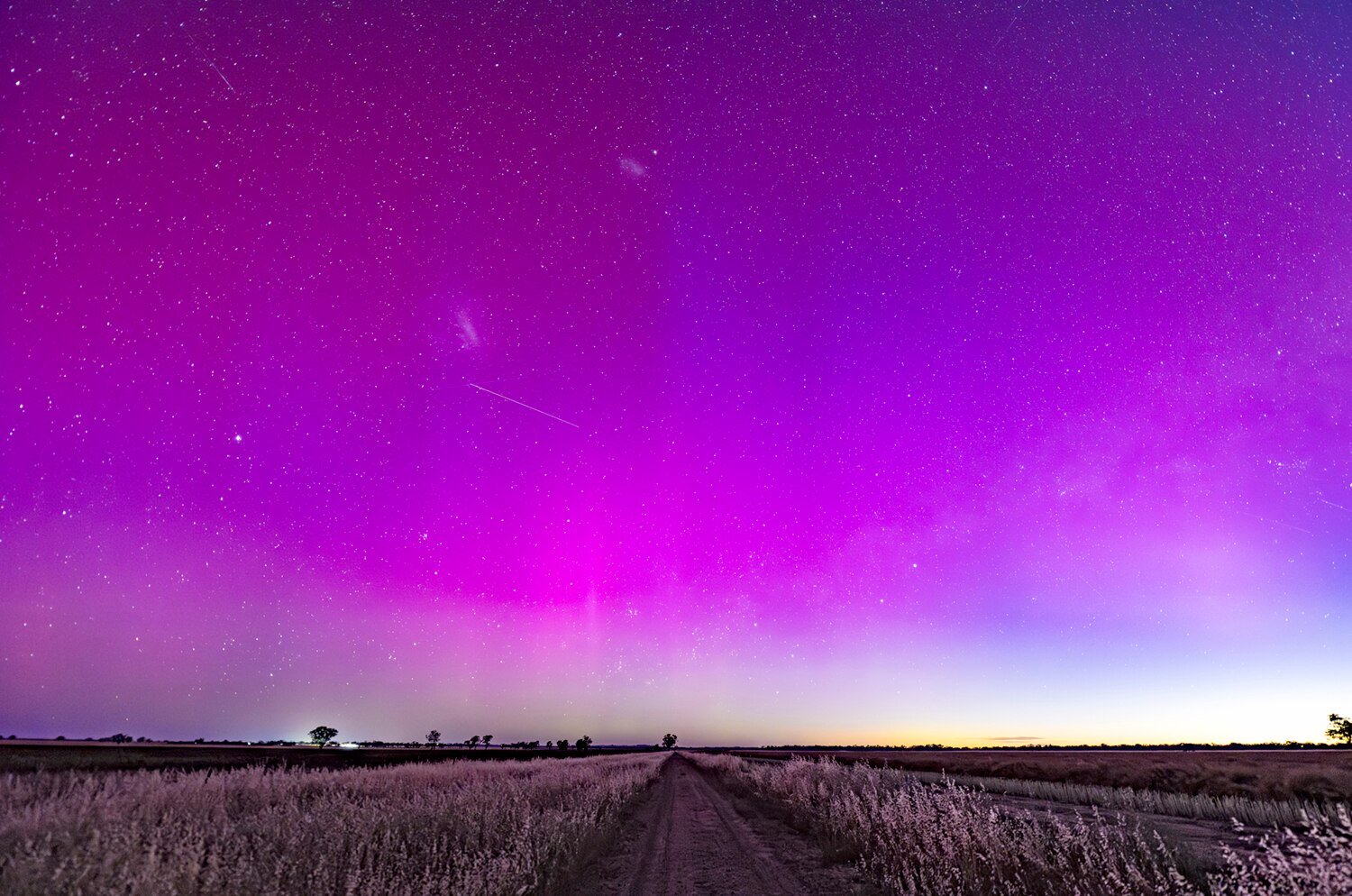Um céu roxo à noite com estrelas brilhando sobre um campo