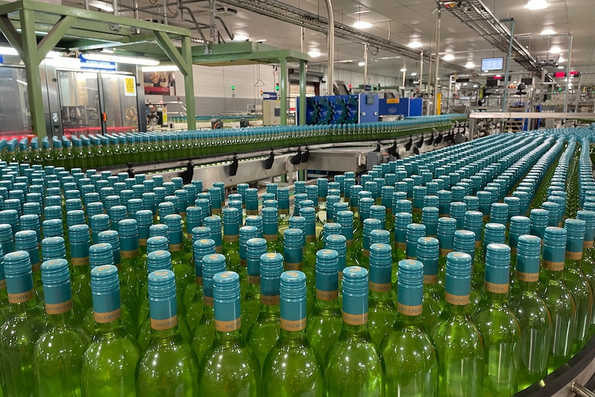 Photo of wine bottling.