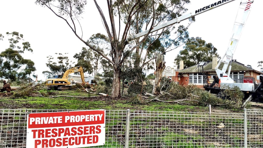 Crews cutting down trees at the former Bendigo East Primary School.