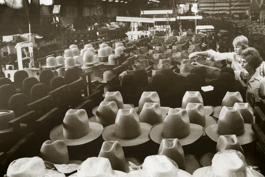 Black and white image showing rows of Akubra hats in production. 