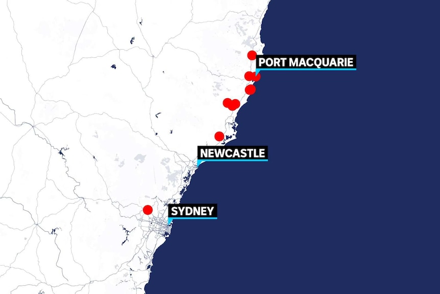 A graphic of nsw shows port mac, newcastle and sydney