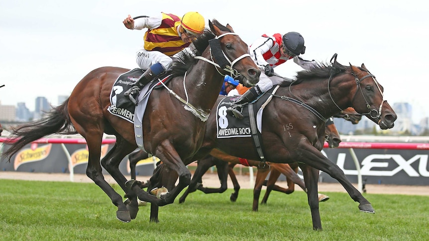 Preferment and Awesome Rock fight out Australian Cup