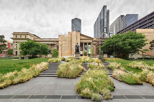 Patches of native grass dot the stone steps leading up to the sandstone library building.