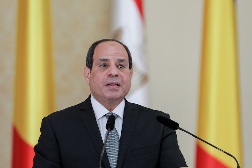 A middle-aged Egyptian man with dark hair and wearing a suit speaks into a microphone.
