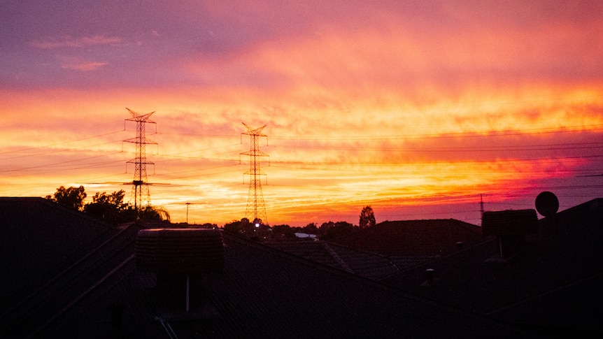 Sunset with powerlines and suburban neighbourhood in foreground