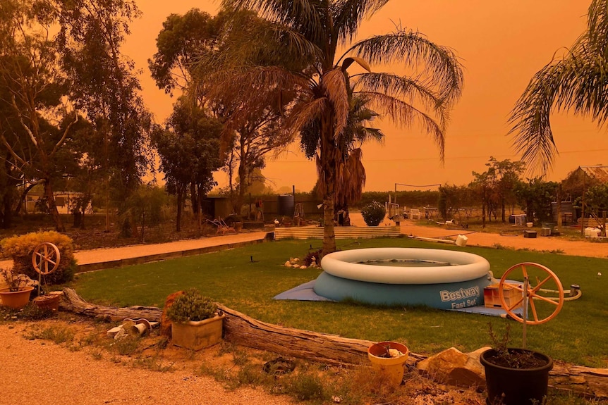 Orange sky above a backyard with trees and a square green lawn