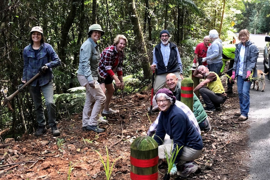 A group of people cleaning up vegetation on roadside.