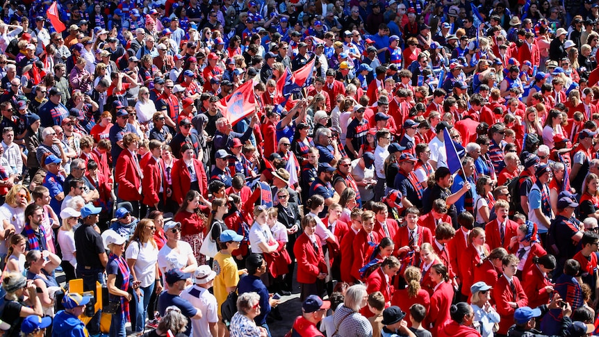 A sea of fans dressed in red and blue take up the whole frame