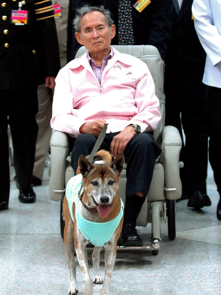 Thai King with favourite dog