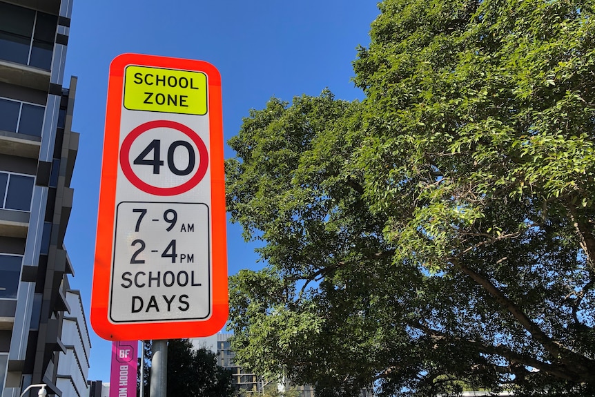 A school zone sign in front of a tree