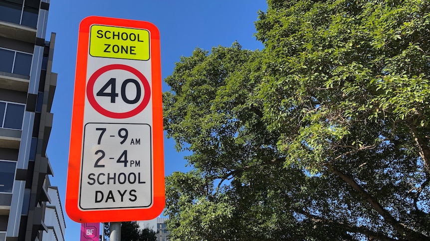 A school zone sign in front of a tree