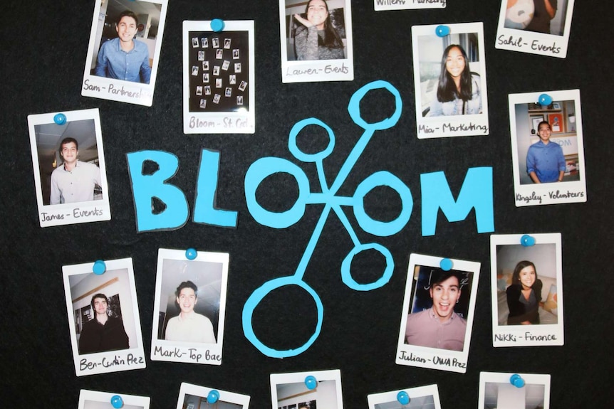 Pinboard at Bloom
